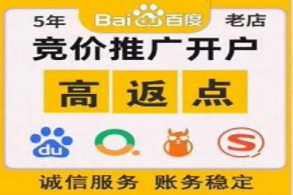 百度广告竞价在移动端的运用：某APP的推广策略
